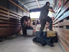 Dagma enfrenta el tráfico de animales silvestres: esta semana 85 especímenes fueron retornados a su hábitat natural