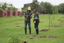 Participa en las siembras masivas de árboles y ayuda a fortalecer los bosques urbanos de ‘Cali, Capital Pacífica de Colombia’