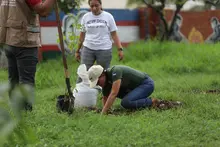 Participa en las siembras masivas de árboles y ayuda a fortalecer los bosques urbanos de ‘Cali, Capital Pacífica de Colombia’