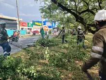 Brindar seguridad y mitigar el riesgo de inundaciones: objetivos de las intervenciones arbóreas que el Dagma realiza en El Caney