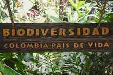 Visitantes de la COP 16 podrán tener experiencias inolvidables  con especies endémicas y exóticas de la región