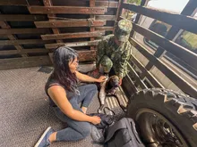 ‘Negrita’, la perrita atropellada que fue salvada por soldados del Ejército  y profesionales del Centro de Bienestar Animal de Cali