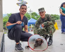 ‘Negrita’, la perrita atropellada que fue salvada por soldados del Ejército  y profesionales del Centro de Bienestar Animal de Cali