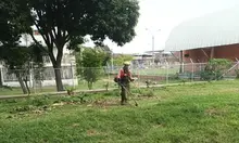 Volvamos a mi Cali Bella llegó a la Comuna 14: 25.000 m² de áreas limpias y 120 m³ de residuos recolectados