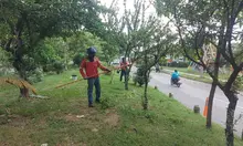 Volvamos a mi Cali Bella llegó a la Comuna 14: 25.000 m² de áreas limpias y 120 m³ de residuos recolectados