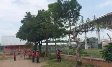 Volvamos a mi Cali Bella llegó a la Comuna 14: 25.000 m² de áreas limpias y 120 m³ de residuos recolectados