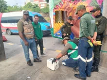 Dagma y Policía Ambiental despliegan controles al tráfico de fauna: el más reciente operativo se realizó en la Terminal de Transportes