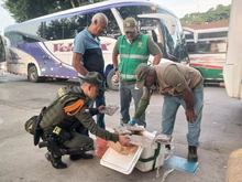 Dagma y Policía Ambiental despliegan controles al tráfico de fauna: el más reciente operativo se realizó en la Terminal de Transportes