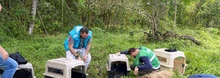 Cali no baja la guardia en su lucha contra el tráfico ilegal de fauna silvestre