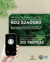 Cali no baja la guardia en su lucha contra el tráfico ilegal de fauna silvestre