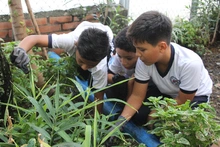 La huerta escolar de La Gran Colombia: una experiencia que conjuga el aprendizaje, la recuperación y el sentido de pertenencia