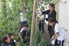La huerta escolar de La Gran Colombia: una experiencia que conjuga el aprendizaje, la recuperación y el sentido de pertenencia