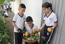 La huerta escolar de La Gran Colombia: una experiencia que conjuga el aprendizaje, la recuperación y el sentido de pertenencia