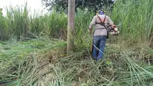 Con mingas y mucho cariño, habitantes de los corregimientos se unen a la Secretaría de Infraestructura para recuperar sus vías rurales