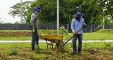 Más de 12.000 metros cuadrados harán parte del pulmón verde del sur de Cali