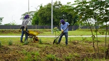 Más de 12.000 metros cuadrados harán parte del pulmón verde del sur de Cali