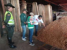 Continúan las acciones del Dagma y la Policía Ambiental contra el tráfico ilegal de flora silvestre