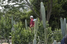 El Jardín Botánico de Cali: Un oasis de biodiversidad esencial para la COP16