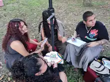 Se abre la inscripción a las candidaturas del Comité de Concertación de  la Política Pública CaliDiversidad de Santiago de Cali