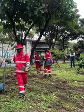 El Puente de los Mil Días y un canal de aguas lluvias del barrio El  Vergel quedaron limpios y bellos