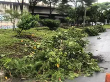 El Puente de los Mil Días y un canal de aguas lluvias del barrio El  Vergel quedaron limpios y bellos