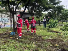El Puente de los Mil Días y un canal de aguas lluvias del barrio El  Vergel quedaron limpios y bellos