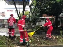 El Puente de los Mil Días y un canal de aguas lluvias del barrio El  Vergel quedaron limpios y bellos