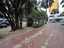 Tras la manifestación pacífica de la minga indígena, 30 ‘Promotores Mi Cali Bella’ lideraron la limpieza en un sector del barrio Versalles