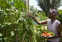 Nuestros comedores comunitarios son territorios de inclusión social y amor por el medio ambiente