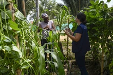 Nuestros comedores comunitarios son territorios de inclusión social y amor por el medio ambiente