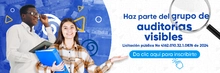 auditorías visibles