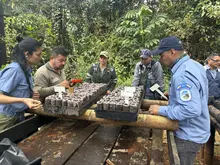 Personal del Dagma y Parques Nacionales se capacita en nueva tecnología de mallas biodegradables para agricultura