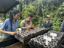 Personal del Dagma y Parques Nacionales se capacita en nueva tecnología de mallas biodegradables para agricultura
