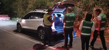 Operativos previos al ‘Petronio Álvarez’: Dagma y Policía Ambiental intensifican labores contra el tráfico de flora y fauna silvestre