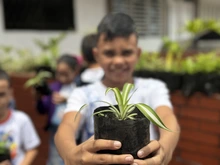 Los niños y niñas ya están listos para gobernar en el Gabinete Distrital Infantil de Cali