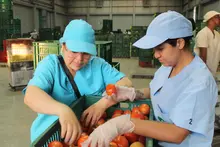 Gestores de los comedores comunitarios reciben cada 10 días insumos de calidad para garantizar su funcionamiento