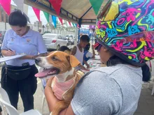Con éxito se desarrolló el Festival de la Inclusión y Territorios Seguros en el barrio San Pascual
