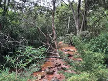 Alcaldía de Cali reactiva obras de mitigación del riesgo en la PTAR de  La Buitrera