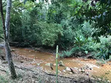 Alcaldía de Cali reactiva obras de mitigación del riesgo en la PTAR de  La Buitrera