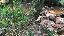 Alcaldía de Cali reactiva obras de mitigación del riesgo en la PTAR de  La Buitrera