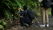 Se inicia concurso de realización de videos verticales con temática ambiental, Cali en un reel
