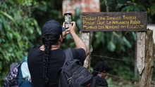 Se inicia concurso de realización de videos verticales con temática ambiental, Cali en un reel