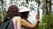 Se inicia concurso de realización de videos verticales con temática ambiental, Cali en un reel