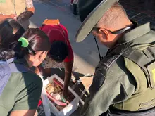 En operativo contra la comercialización y tráfico de fauna y flora silvestre, Dagma y Policía Ambiental incautan carne de armadillo