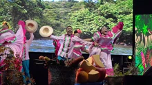 El Festival Petronio Álvarez también es pedagógico 