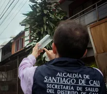 ¡La lucha contra el dengue no se detiene! Con liberaciones de mosquitos avanza en Cali la IV fase de la estrategia Wolbachia 