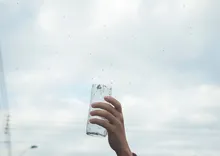 ¡La lucha contra el dengue no se detiene! Con liberaciones de mosquitos avanza en Cali la IV fase de la estrategia Wolbachia 