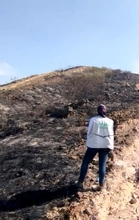 Incendio en Bataclán causó la pérdida de más de siete hectáreas de cobertura vegetal y el desplazamiento de fauna silvestre: Dagma