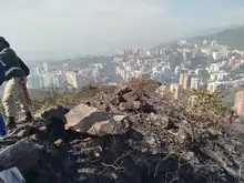 Incendio en Bataclán causó la pérdida de más de siete hectáreas de cobertura vegetal y el desplazamiento de fauna silvestre: Dagma