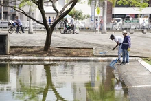 Continúan labores de mantenimiento en las fuentes ornamentales  de Cali 